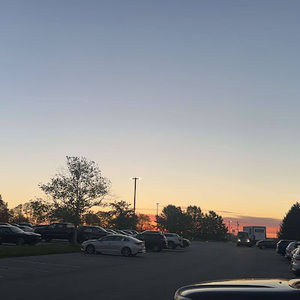 Meet your Posher, Riley